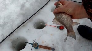 рыбалка на озере чаны, щедрый чан разнорыбица