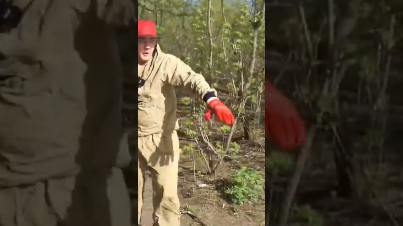 Никогда не кидайте магнит под мостом! смотреть онлайн