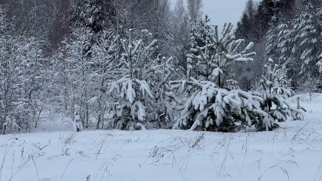 Заметки Альтернативщика, Солнечная электростанция, БАК аккумулятор и Новый год ! смотреть онлайн