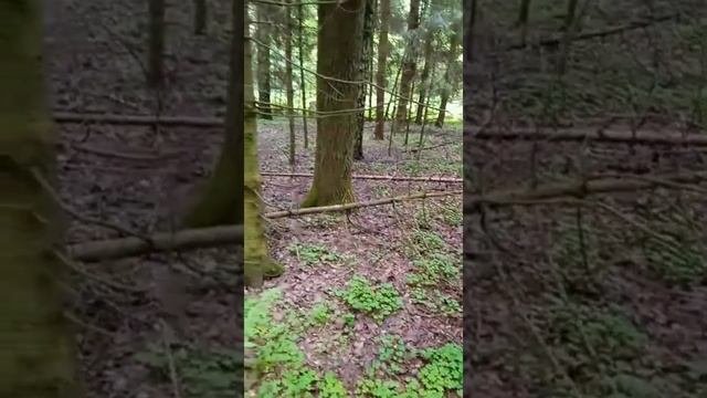 Стелс Дельта 200 с коляской. Первый походный выезд смотреть онлайн