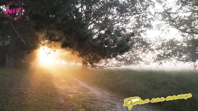 Будем как солнце смотреть онлайн