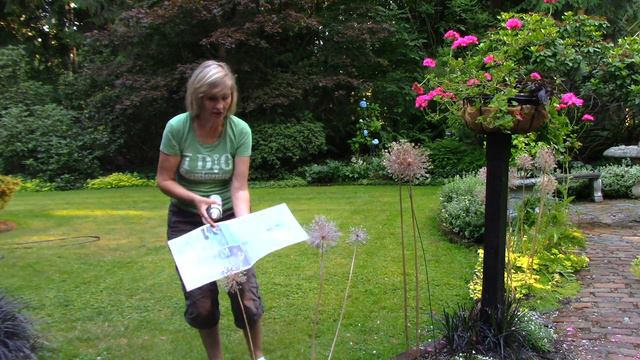 Easy and Fun Summer Garden Project! смотреть онлайн