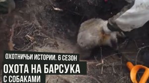 Охота на барсука с собаками \ Охотничьи истории \ #2
