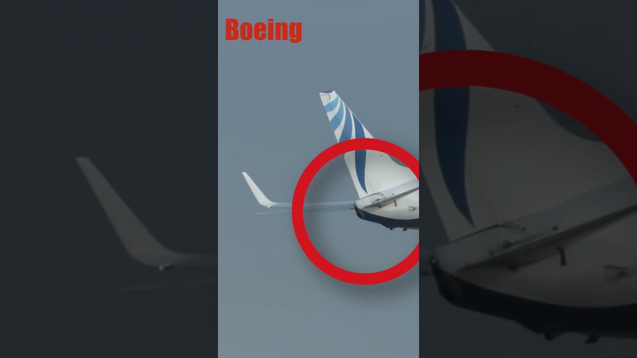 Как отличить Boeing от Airbus??? #boeing #airbus #short #авиация #факты смотреть онлайн