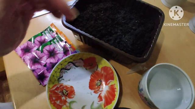 Посев ПЕТУНИИ 🌺🌺🌺 Самый простой способ!👍👍👍 смотреть онлайн