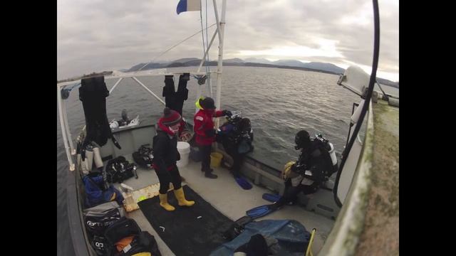 Diving on serpula смотреть онлайн