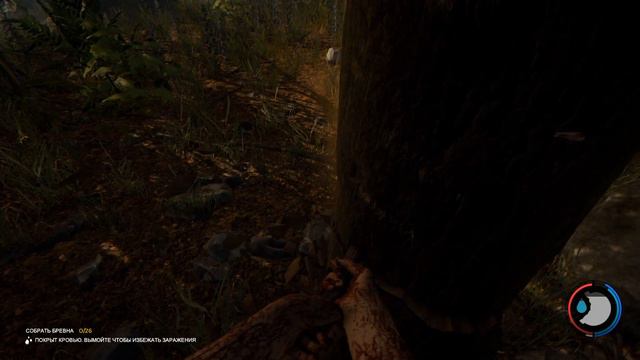 The Forest CO-OP #1 - Хорошее место для дома смотреть онлайн