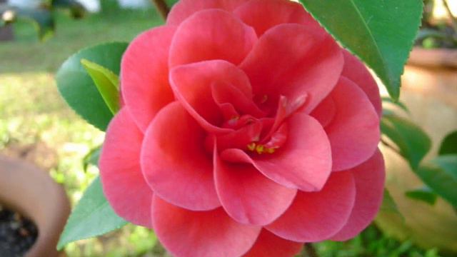 Los Alegres de Teran Los Seis Navegantes.wmv смотреть онлайн