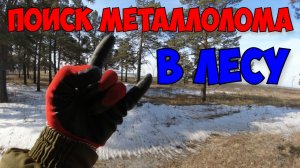 Поиск Металлолома И Меди В Лесу Возле Железной Дороги Без Металлоискателя.