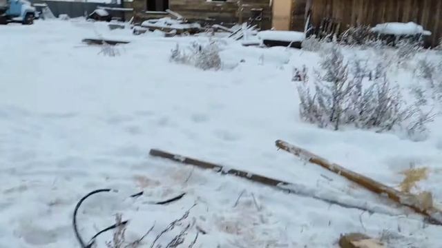 строительство апидомика в Сибири, проект стройка продолжается. смотреть онлайн
