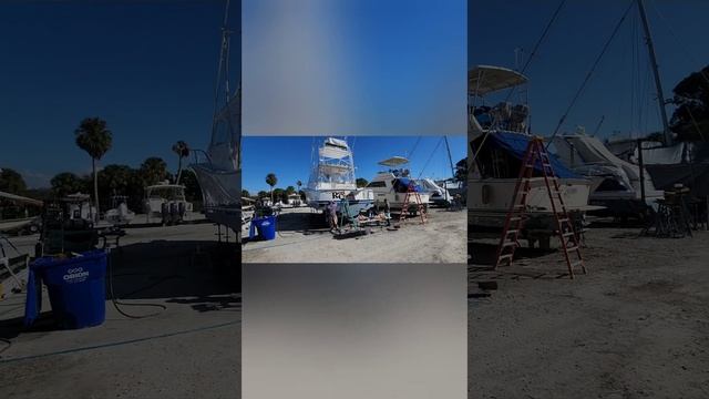 сколько мы поймали рыбы и капитан делает филе смотреть онлайн