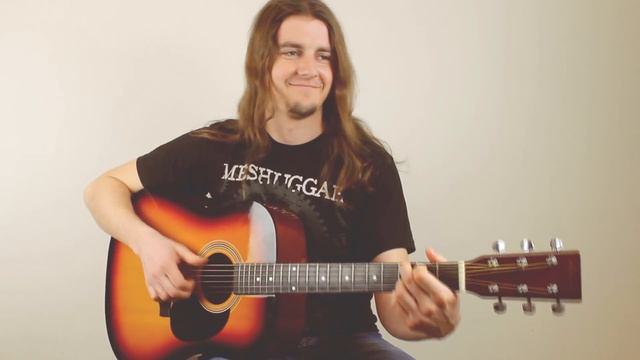 John 5 Salt Creek (Guitar Cover). смотреть онлайн