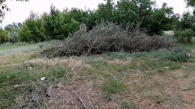 В СТАРОМ ДОМЕ ДЕЛ МНОГО, НО МЫ РАБОТЫ НЕ БОИМСЯ! СОЗДАЁМ УСЛОВИЯ