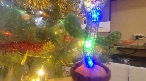 Танцующий кактус