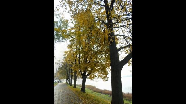 кенгарагс смотреть онлайн