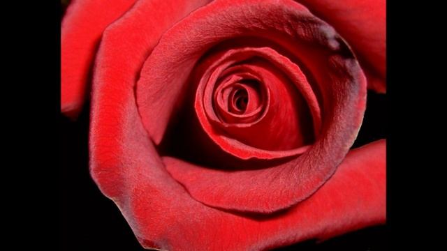 Муладхара чакра Биджа слог Лам 2..wmv смотреть онлайн