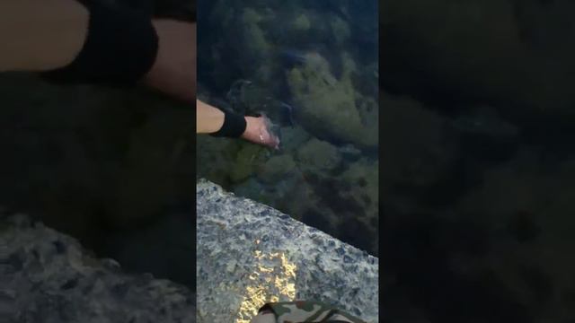 На прохвате (Евпатория это кайф) смотреть онлайн