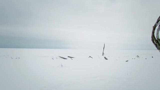 "Тайбола. Ближе к корням" 2013 г., Белое море (trailer) смотреть онлайн