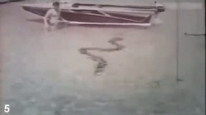 10 Самых Жутких Нападений Змей на Человека