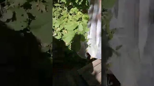 баня "тепло" смотреть онлайн