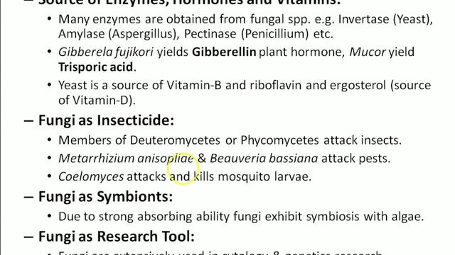 Economic Importance of Fungi / BS/MS-Botany | Urdu & Hindi смотреть онлайн