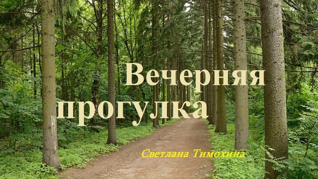 Вечерняя прогулка.. (рассказ)