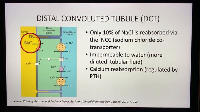 Board Exam Secrets- Pharmacology DIURETICS смотреть онлайн