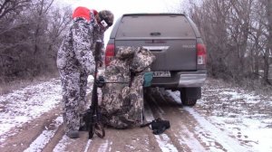 Охота на шакала на засаде