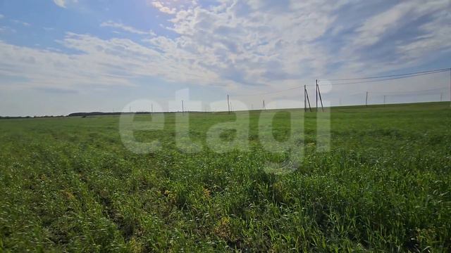 новая калмия, участок 1178 смотреть онлайн