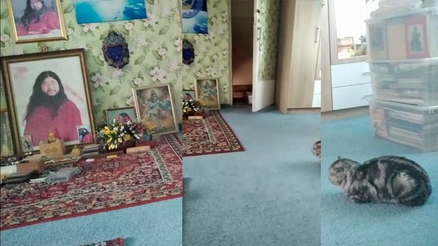 4K / ТЯГА К ИСТИНЕ - ФУНДАМЕНТАЛЬНОЕ СВОЙСТВО КАЖДОЙ ДУШИ смотреть онлайн
