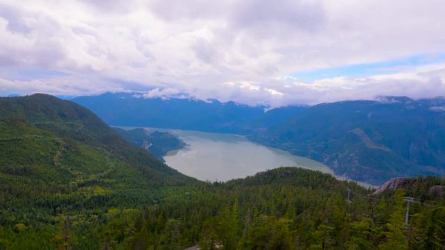 Protecting the future of the Pacific Northwest смотреть онлайн