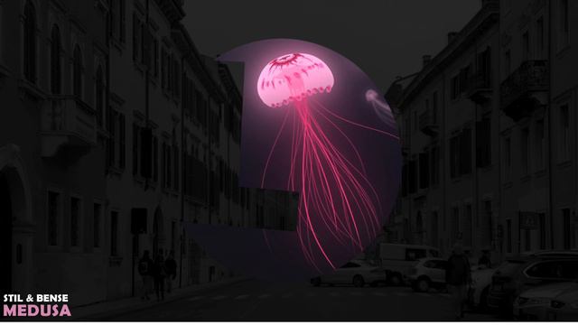 Stil & Bense - Pegasus - Loulou records (LLR69) смотреть онлайн