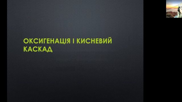 ФІзіологія дихання лекція смотреть онлайн