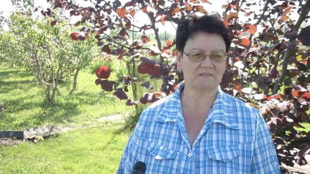 В Курской области выращивают крепкие орешки