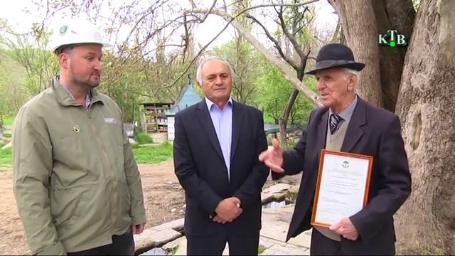 Третье дерево России смотреть онлайн