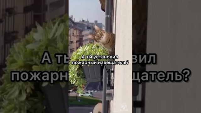 ГУ МЧС России по Ульяновской области смотреть онлайн