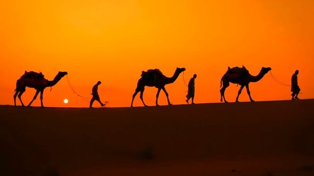 Happy National Nurses Day | May 6 | From Nightingale Til Now смотреть онлайн