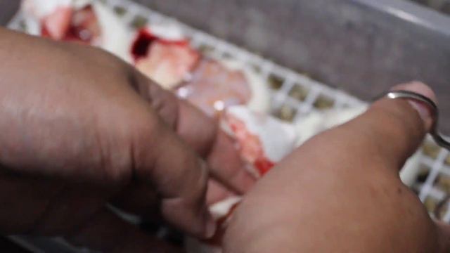 Cutting lavender albino black pastel x het lavender clutch! смотреть онлайн