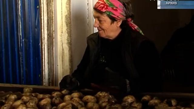 В Самарской области презентовали фиолетовый картофель смотреть онлайн