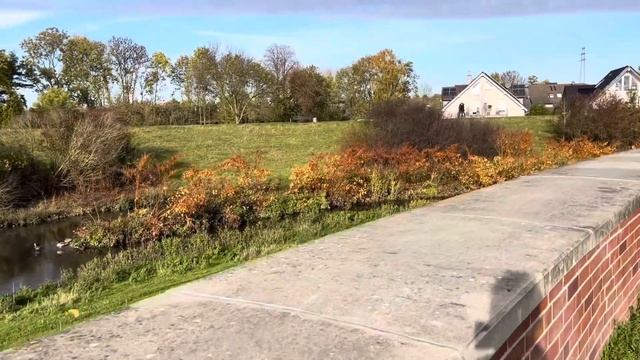 Нужен ли вам «Подробный обзор поиска жилья на примере Дюссельдорфа»? l Опрос l смотреть онлайн