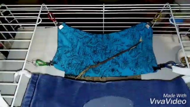 ДЕКОРАТИВНЫЕ КРЫСЫ?РУМ ТУР В КЛЕТКЕ/ смотреть онлайн