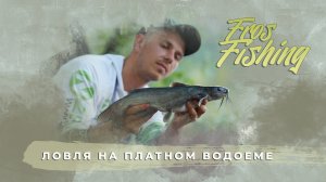 Секреты фидерной ловли в условиях платного водоема