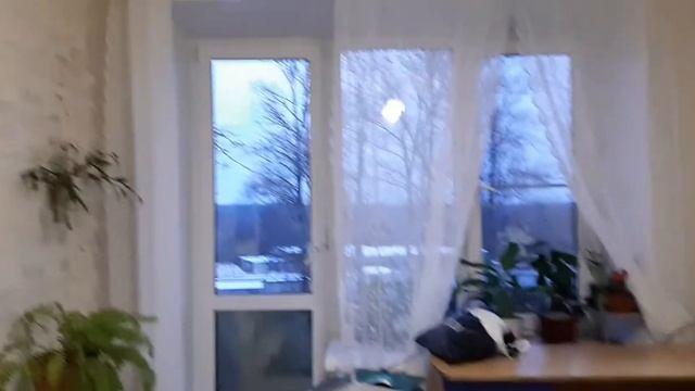 ВЛОГ : 2.12.20 НОВОГОДНИЕ ГАРДИНЫ ИЗ IKEA Я ДОВОЛЬНА КАК СЛОН смотреть онлайн