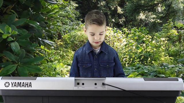 "Мелодия Таинственного сада". Андрей Павловский. смотреть онлайн