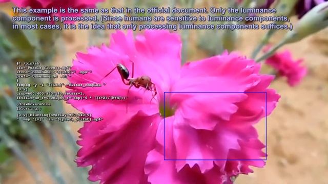various way of blurring (or unsharping) with ffmpeg - fftfilt смотреть онлайн