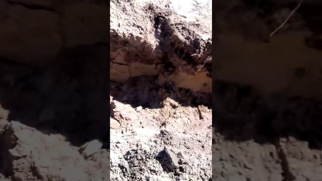 Монтаж Септика "Танк-2,5" с двумя инфильтраторами, грунт песок, УГВ 2,м. смотреть онлайн