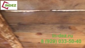 Лечение и защита древесины от короеда (Xilix Gel)