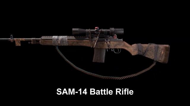Assault Rifles for Graywalkers Purgatory смотреть онлайн