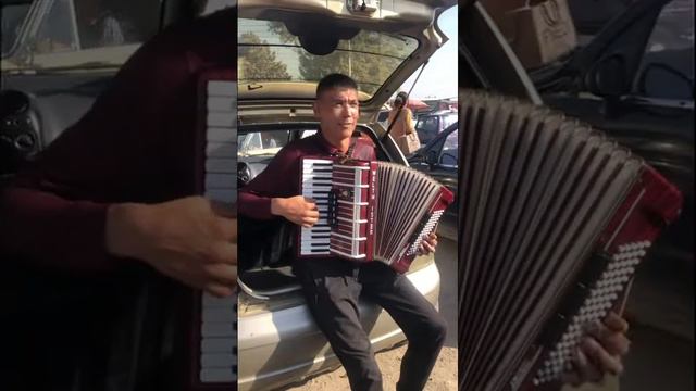 Элдик талант аккордеон менен тел:0555032404 смотреть онлайн