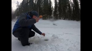 Рыбалка Хариус 2020 март. Сумасшедший клев !. Крупный хариус! МОРМЫШКИ ОГОНЬ!